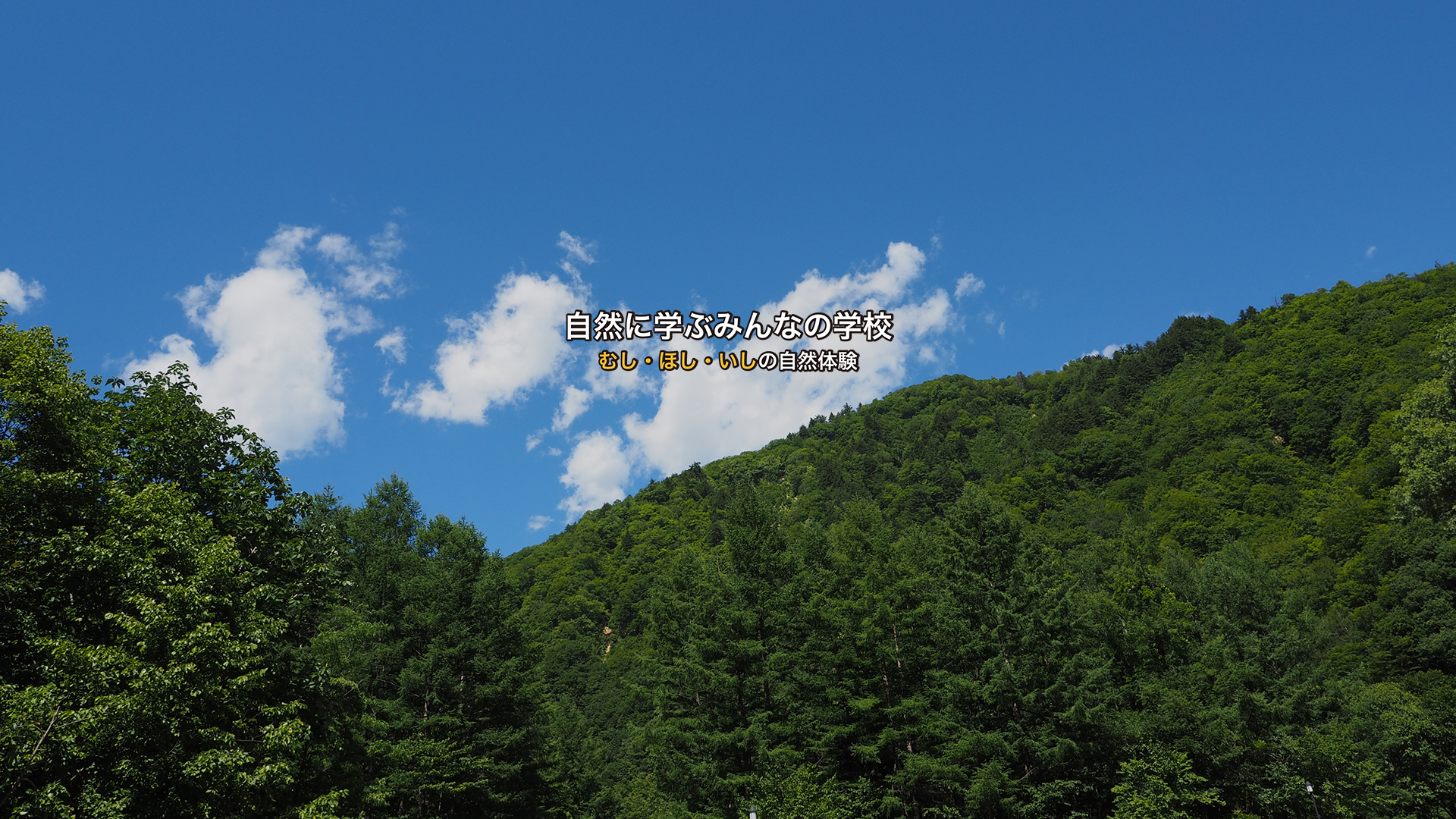 自然に学ぶみんなの学校