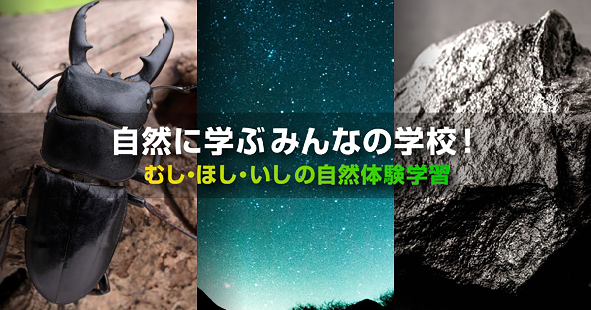 自然に学ぶみんなの学校 応募ページ – 自然に学ぶみんなの学校